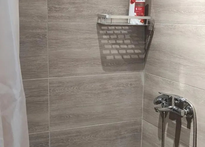 Diogenis * 沃尔沃罗