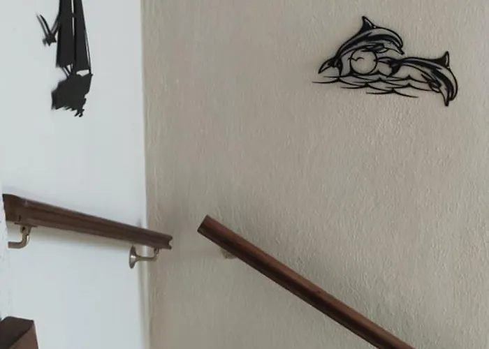 Diogenis 沃尔沃罗