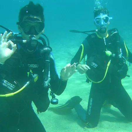 Diogenis Nyaraló Vurvurú