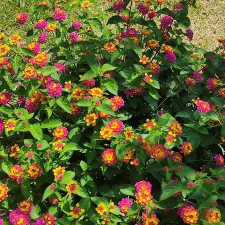 Casa vacanze Diogenis