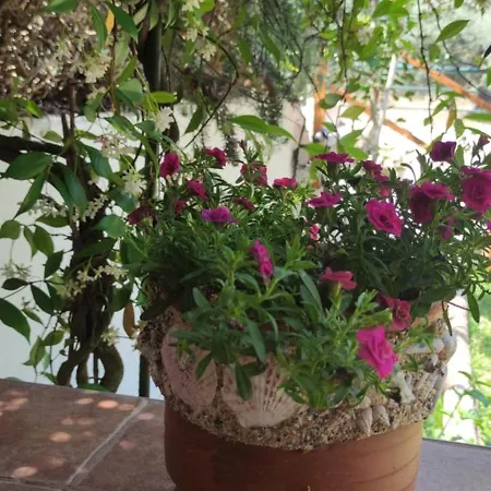 Casa vacanze Diogenis Vourvourou